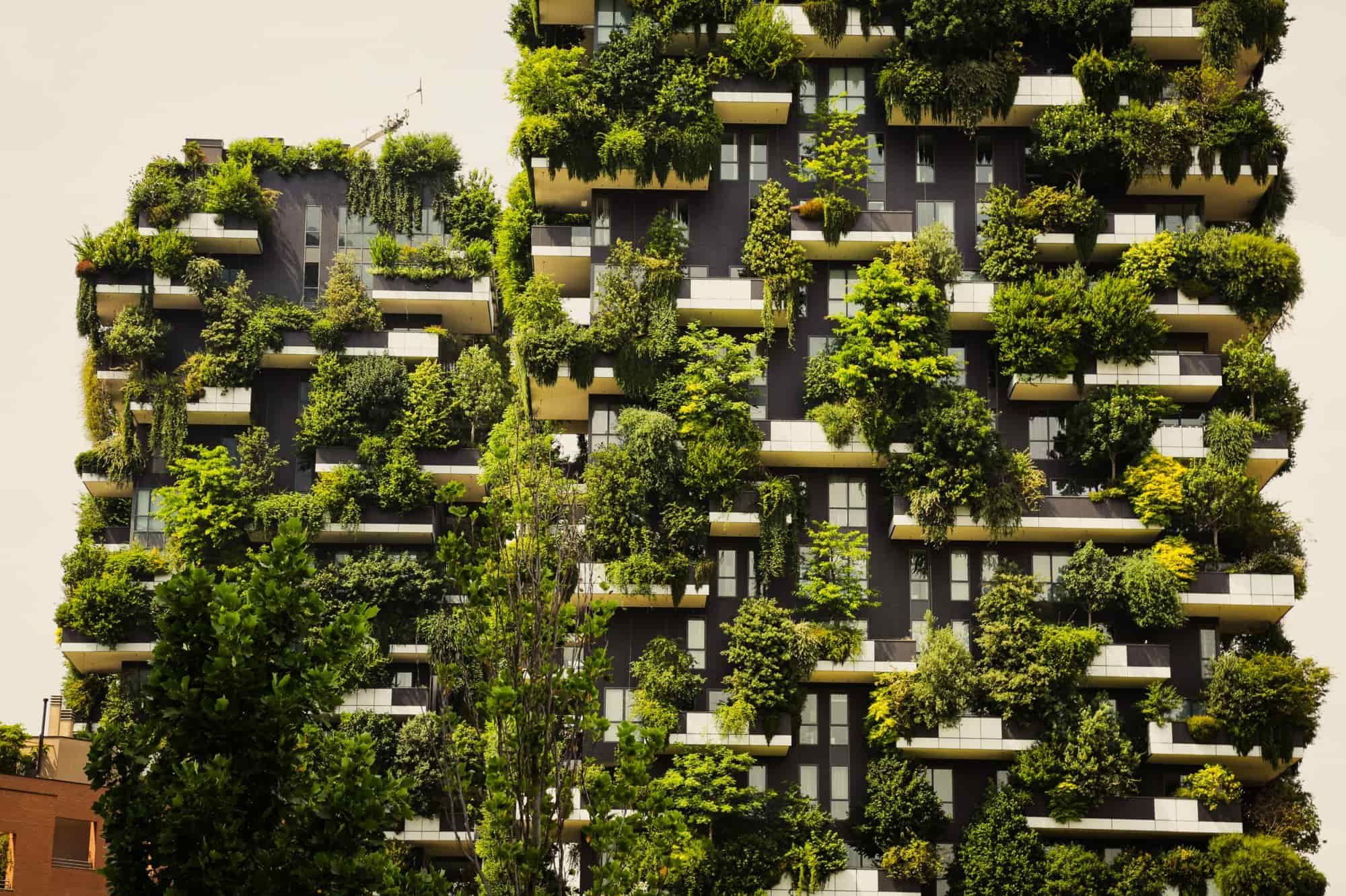 The Future of Sustainable Architecture in Vietnam